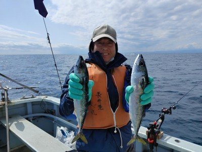 サバ の釣果 22年3月日 長助丸 神奈川 長井漆山港 船釣り予約 キャスティング船釣り予約