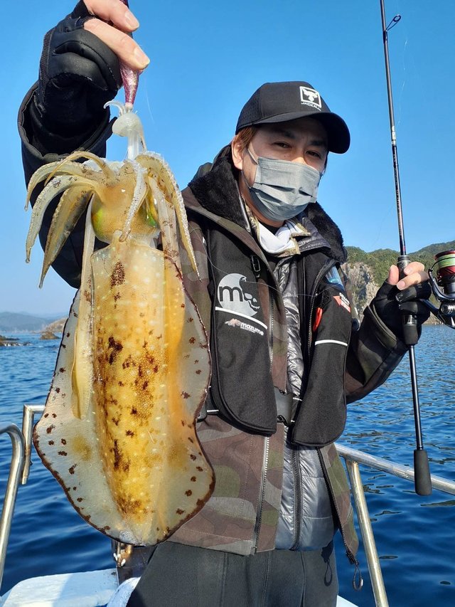 三重県で釣れたコウイカの最新釣果 釣り情報 22年9月