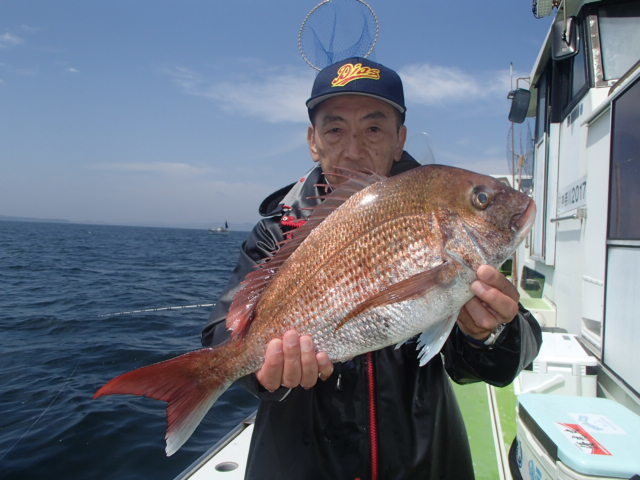 マダイ2 50kg 4匹 の釣果 22年4月11日 浜福丸 神奈川 釣割