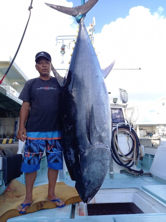 九州 沖縄で釣れたクロマグロの最新釣果 釣り情報 22年11月