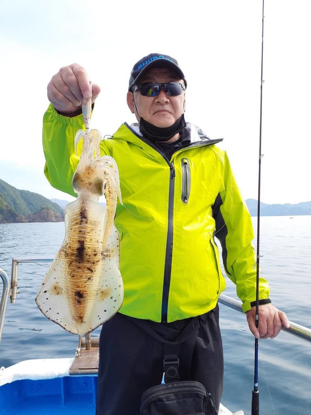三重県で釣れたアオリイカの最新釣果 釣り情報 22年9月