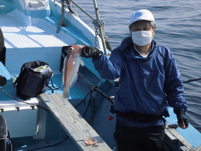 高知県で釣れたマサバの最新釣果 釣り情報 22年10月