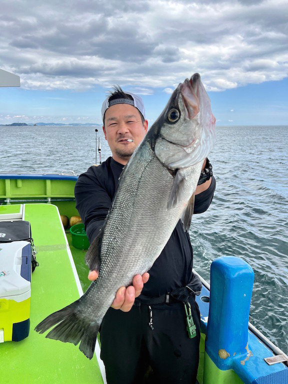 神奈川県で釣れたヒラスズキの最新釣果 釣り情報 22年11月