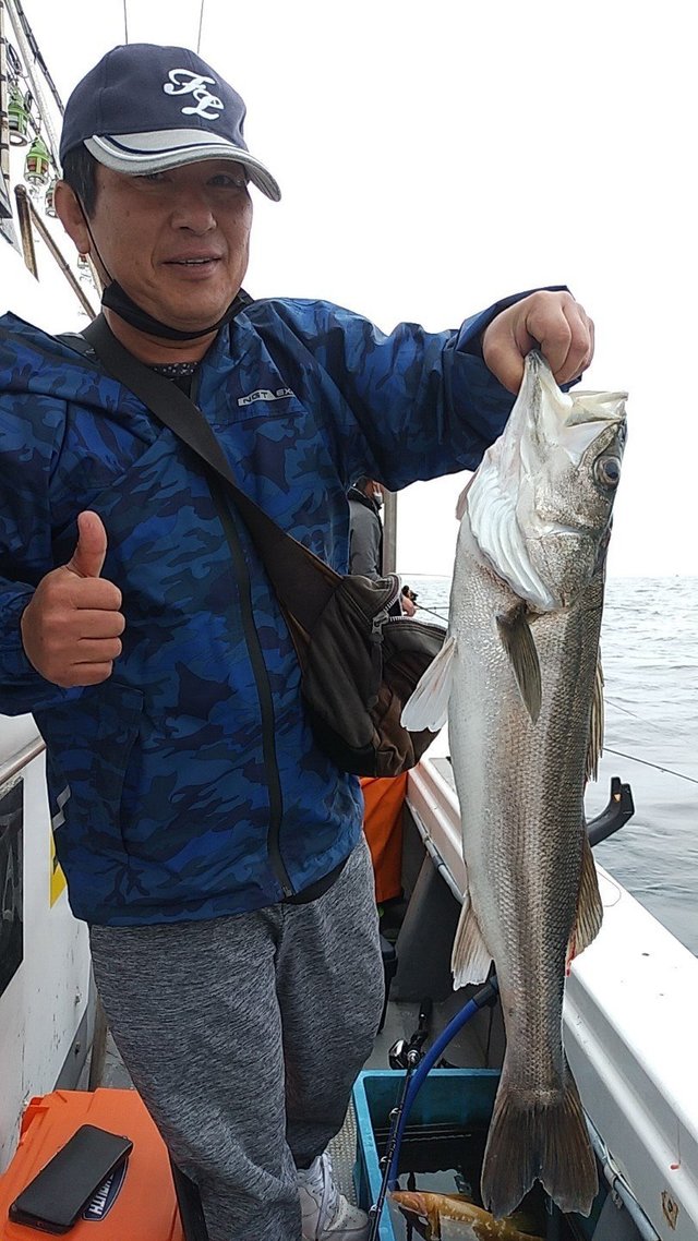 福岡県で釣れたスズキの最新釣果 釣り情報 22年9月