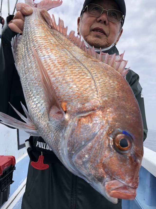 マダイ4 40kg 5匹 の釣果 22年6月3日 幸栄丸 茨城 鹿嶋旧港 船釣り予約 キャスティング船釣り予約