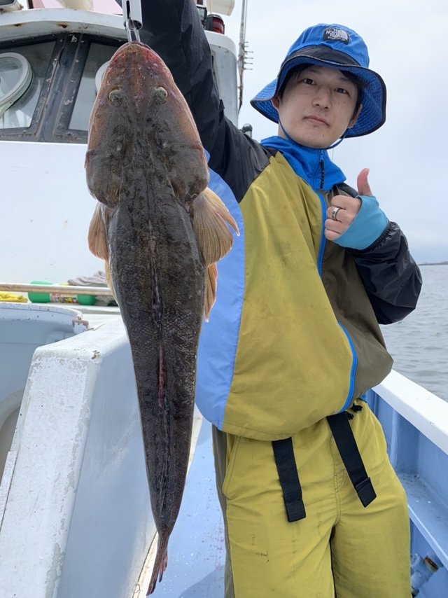 マゴチ59cm 3匹 の釣果 22年6月5日 幸栄丸 茨城 鹿嶋旧港 船釣り予約 キャスティング船釣り予約