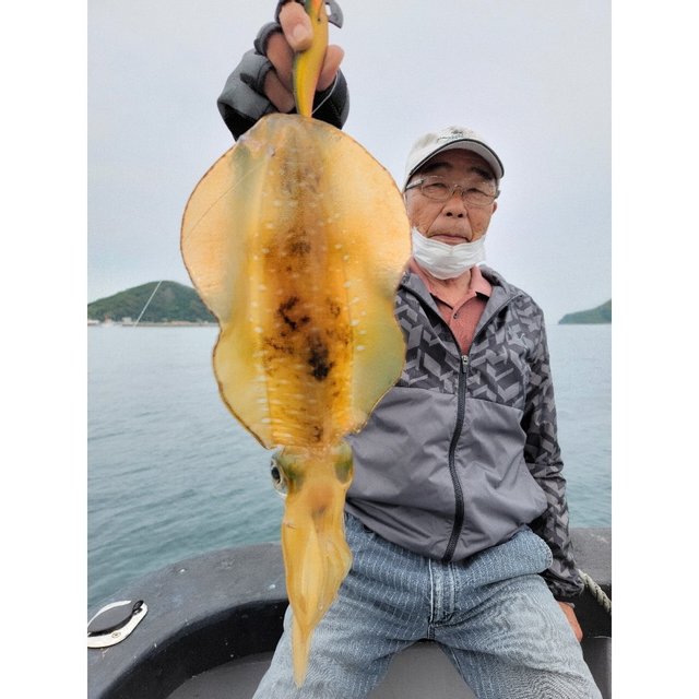 福岡県で釣れたアオリイカの最新釣果 釣り情報 22年8月