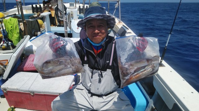 スルメ23cm 55匹 の釣果 22年6月10日 岡安丸 愛知 神島 釣割