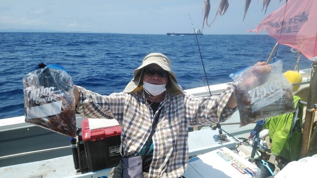 スルメ23cm 55匹 の釣果 22年6月10日 岡安丸 愛知 神島 釣割