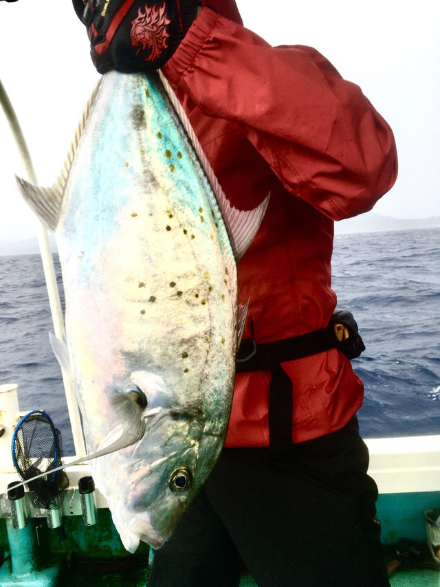 沖縄県で釣れたロウニンアジの最新釣果 釣り情報 22年10月