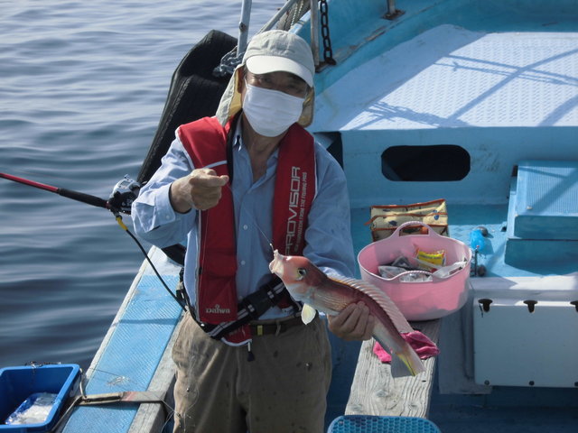 高知県で釣れたイサキの最新釣果 釣り情報 22年11月