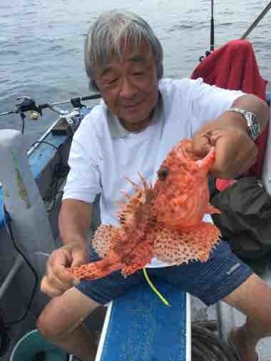 神奈川県 オニカサゴの釣果情報をリアルタイム配信 22年7月版