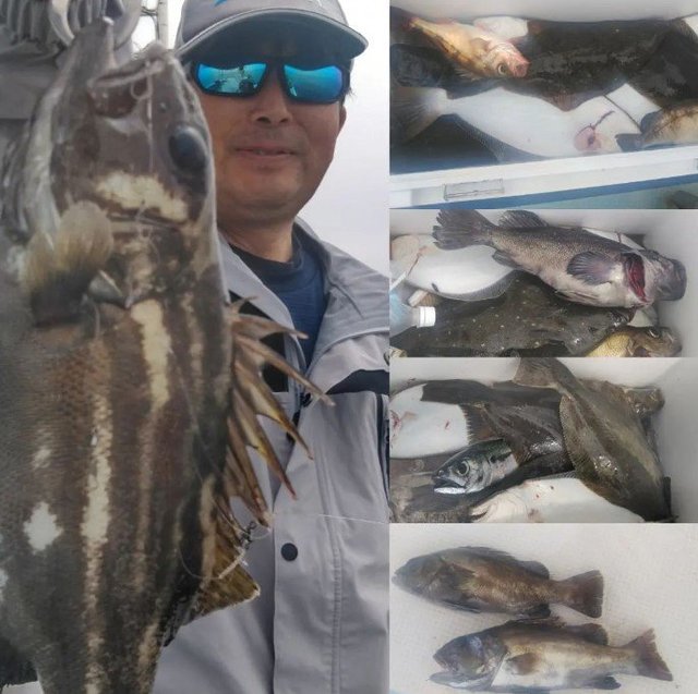 宮城県で釣れたウスメバルの最新釣果 釣り情報 22年9月