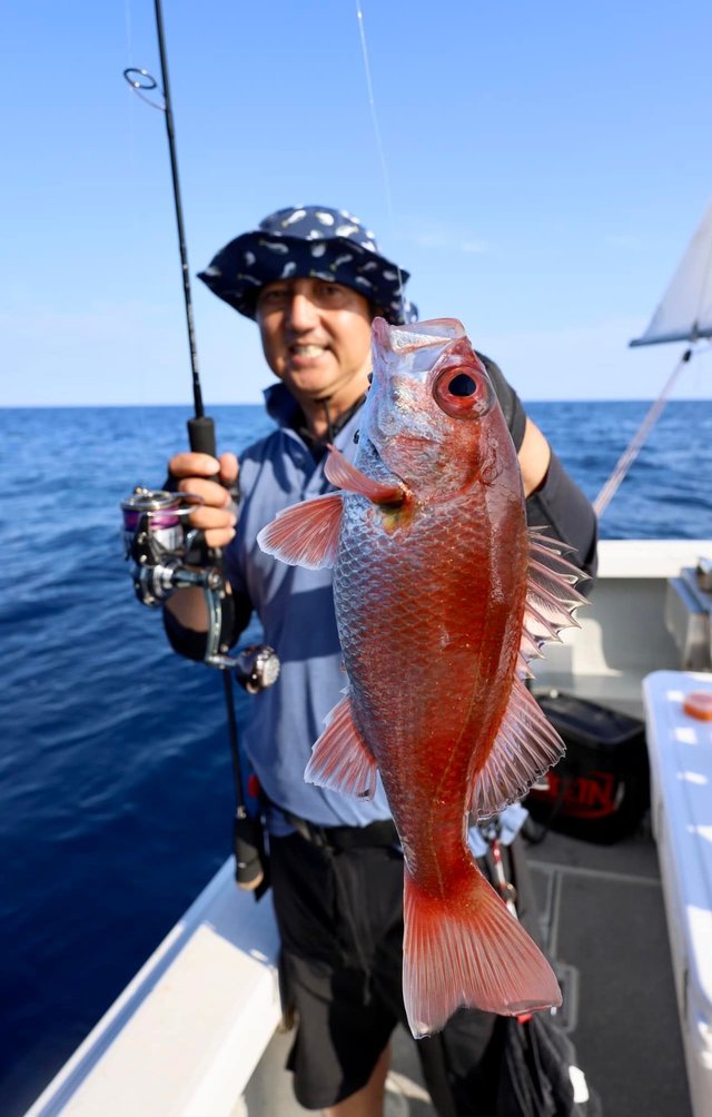 京都府で釣れたアカムツの最新釣果 釣り情報 22年10月