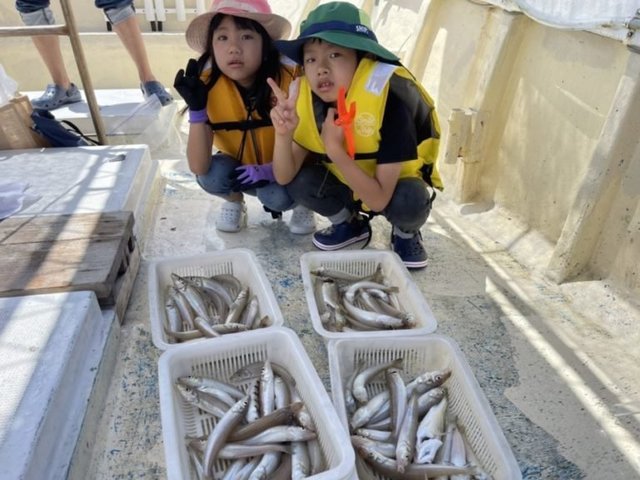 福岡県で釣れたシロギスの最新釣果 釣り情報 22年11月