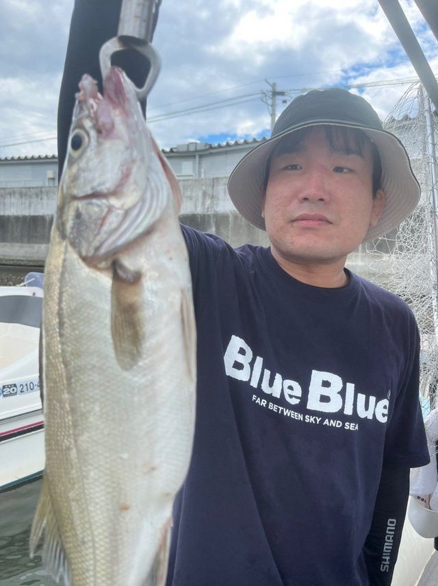 宮城県で釣れたスズキの最新釣果 釣り情報 22年9月