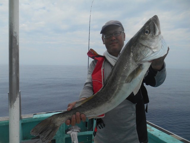 新潟県で釣れたスズキの最新釣果 釣り情報 22年10月