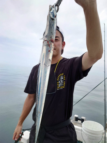 山口県で釣れたタチウオの最新釣果 釣り情報 22年9月