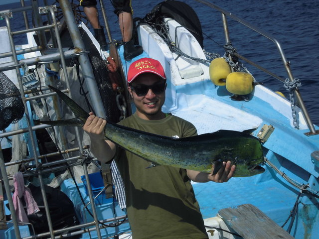 高知県で釣れたシイラの最新釣果 釣り情報 22年11月