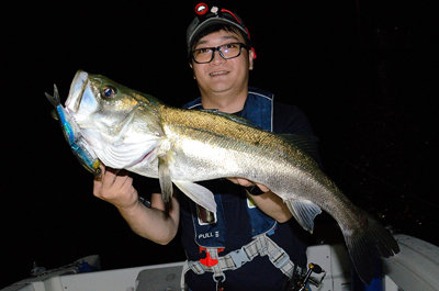 岡山県で釣れたスズキの最新釣果 釣り情報 22年9月