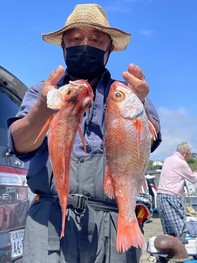 福島県で釣れたキツネメバルの最新釣果 釣り情報 22年11月