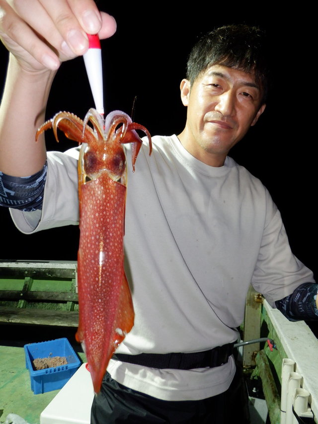 関西で釣れたスルメイカの最新釣果 釣り情報 22年12月