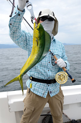 岡山県で釣れたシイラの最新釣果 釣り情報 22年10月