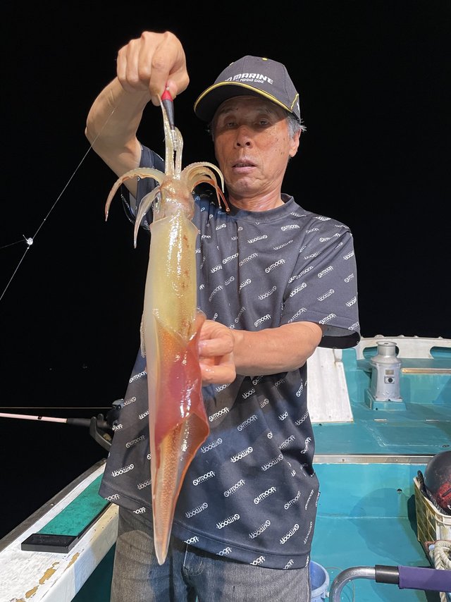 関西で釣れたケンサキイカの最新釣果 釣り情報 22年10月