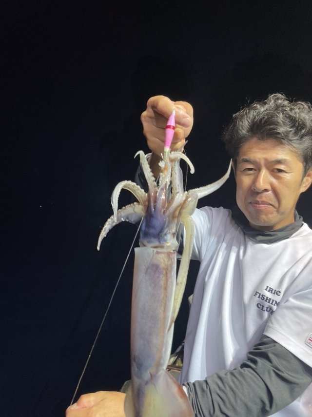 茨城県で釣れたムラサキイカの最新釣果 釣り情報 23年1月