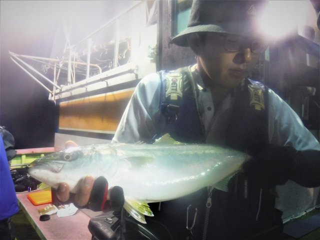 新潟県で釣れたスルメイカの最新釣果 釣り情報 22年10月