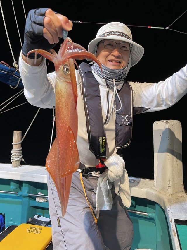 和歌山県で釣れたケンサキイカの最新釣果 釣り情報 22年12月