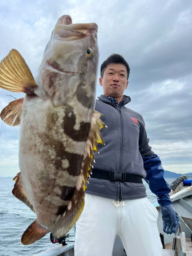 愛知県で釣れたクエの最新釣果 釣り情報 22年10月