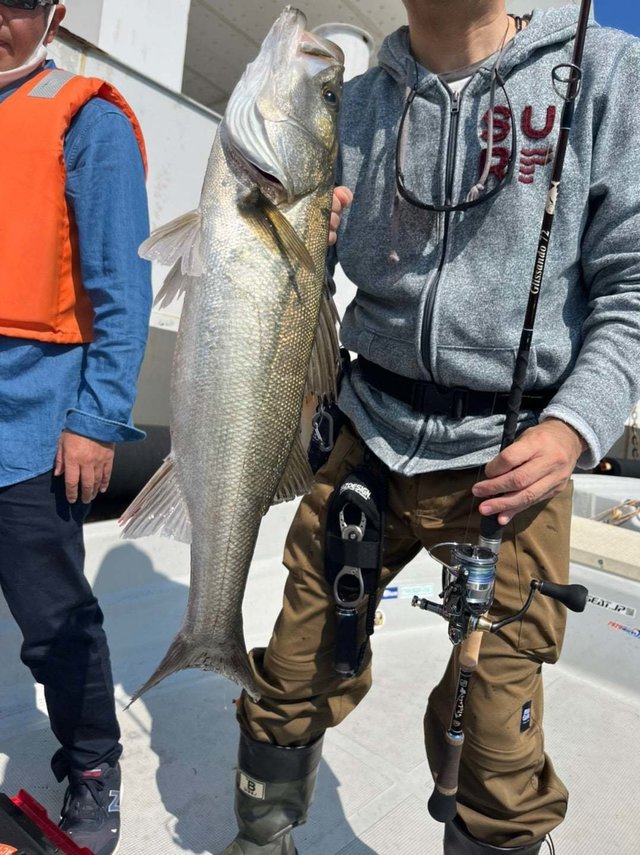 大阪府で釣れたスズキの最新釣果 釣り情報 22年10月