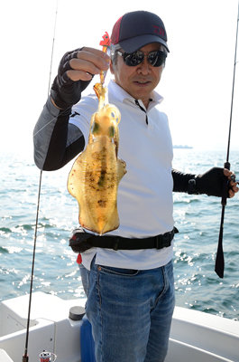 岡山県で釣れたアオリイカの最新釣果 釣り情報 22年10月