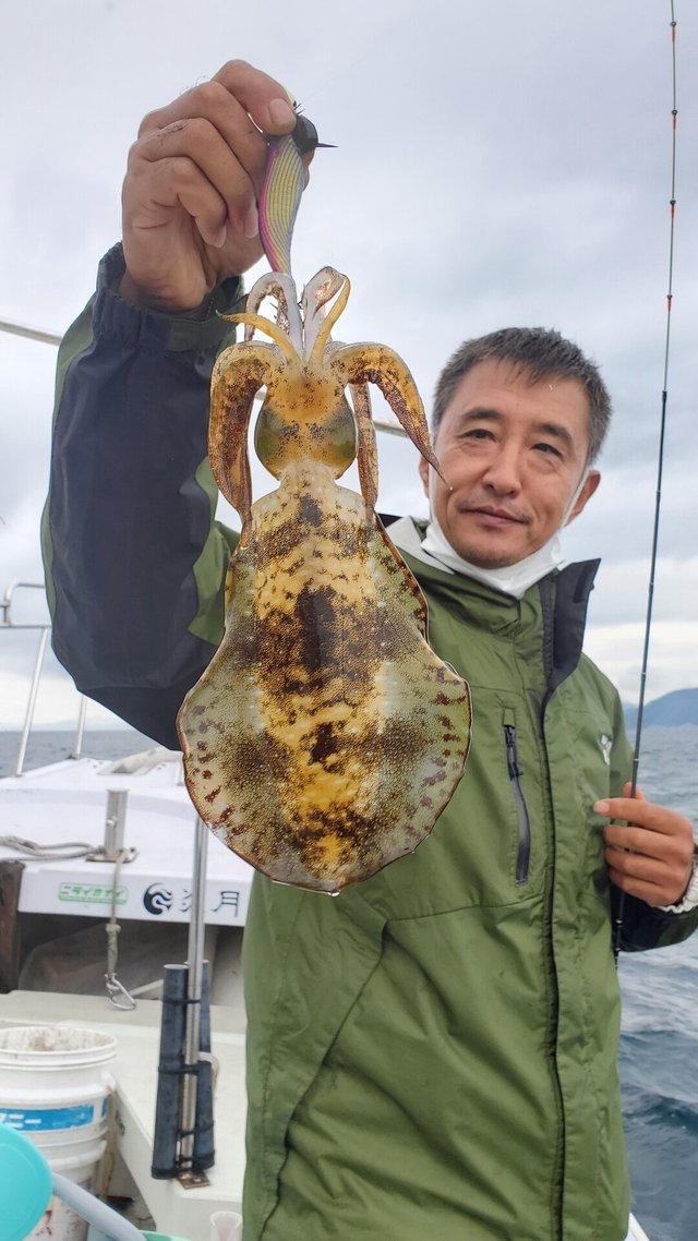 愛媛県で釣れたアオリイカの最新釣果 釣り情報 22年10月