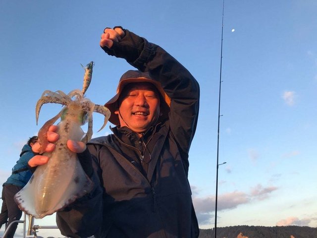 石川県で釣れたアオリイカの最新釣果 釣り情報 22年10月