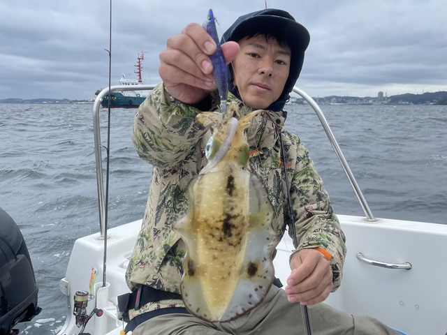 東京湾 神奈川県 で釣れたアオリイカの最新釣果 釣り情報 22年10月