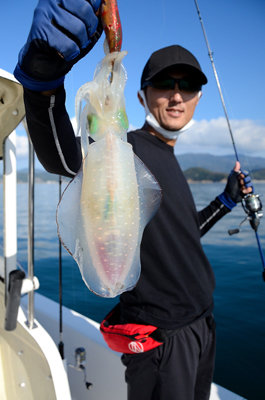 岡山県で釣れたアオリイカの最新釣果 釣り情報 22年11月