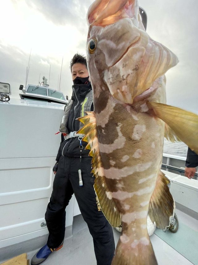 千葉県で釣れたクエの最新釣果 釣り情報 22年11月