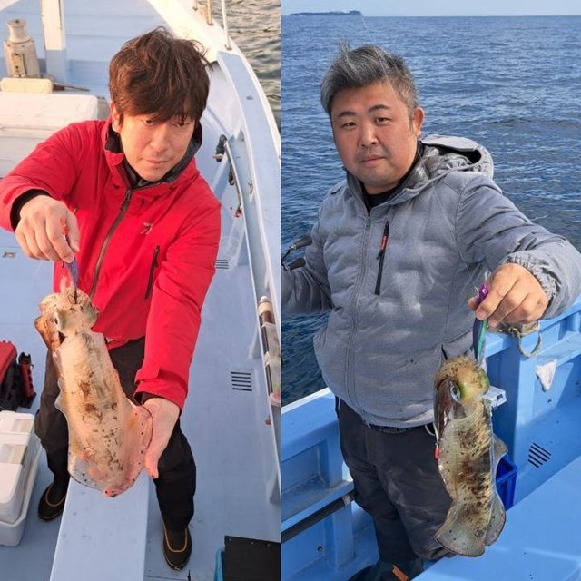 静岡県で釣れたアオリイカの最新釣果 釣り情報 22年11月