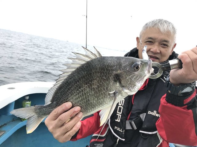 東京都で釣れたキチヌの最新釣果 釣り情報 22年11月