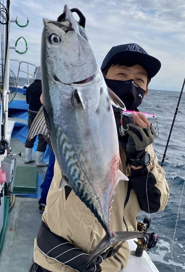 駿河湾 遠州灘 静岡県 で釣れたカツオの最新釣果 釣り情報 22年12月
