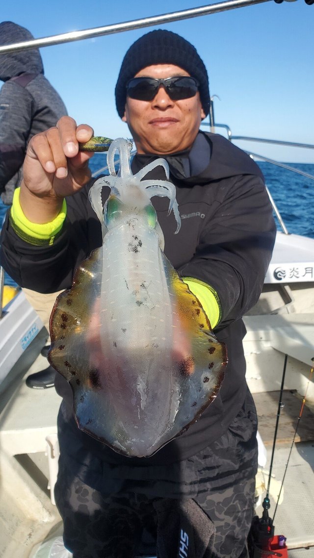 愛媛県で釣れたアオリイカの最新釣果 釣り情報 22年12月