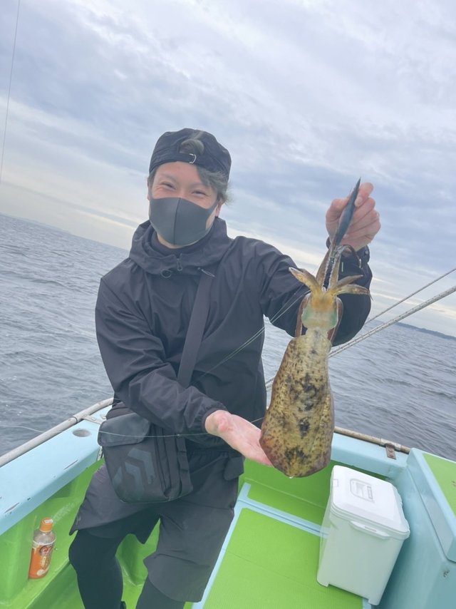 東京湾 神奈川県 で釣れたコウイカの最新釣果 釣り情報 22年12月