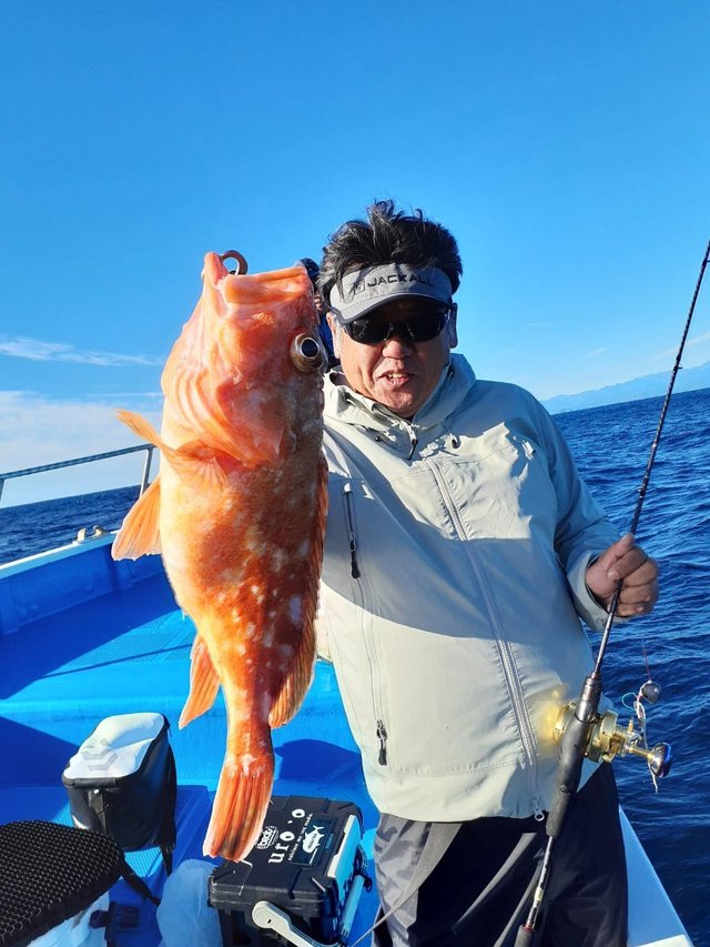 三重県で釣れたムツの最新釣果 釣り情報 22年12月