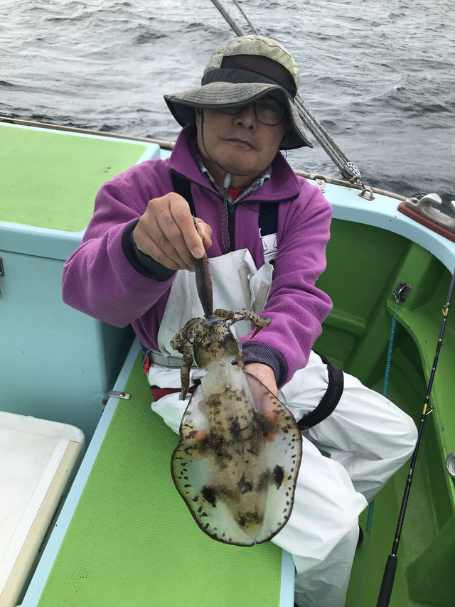 東京湾 神奈川県 で釣れたアオリイカの最新釣果 釣り情報 22年12月