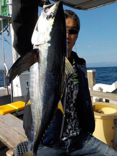 徳島県で釣れたカツオの最新釣果 釣り情報 22年12月
