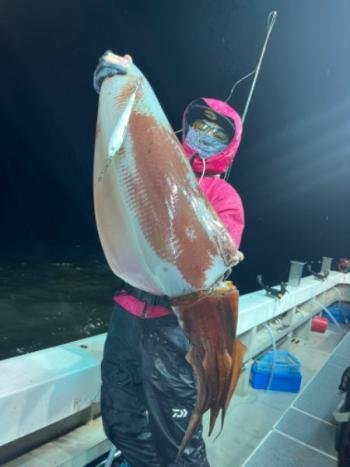 福井県で釣れたソデイカの最新釣果 釣り情報 22年11月