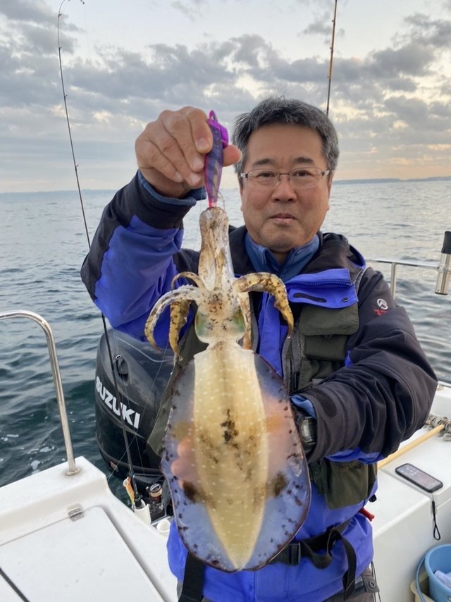 東京湾 神奈川県 で釣れたアオリイカの最新釣果 釣り情報 22年12月