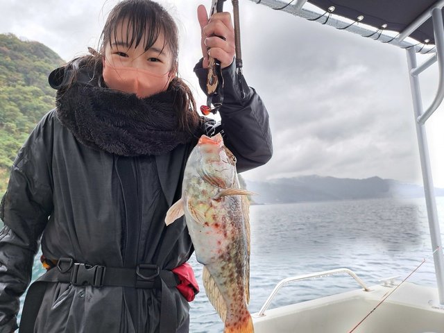 静岡県で釣れたブダイの最新釣果 釣り情報 23年1月